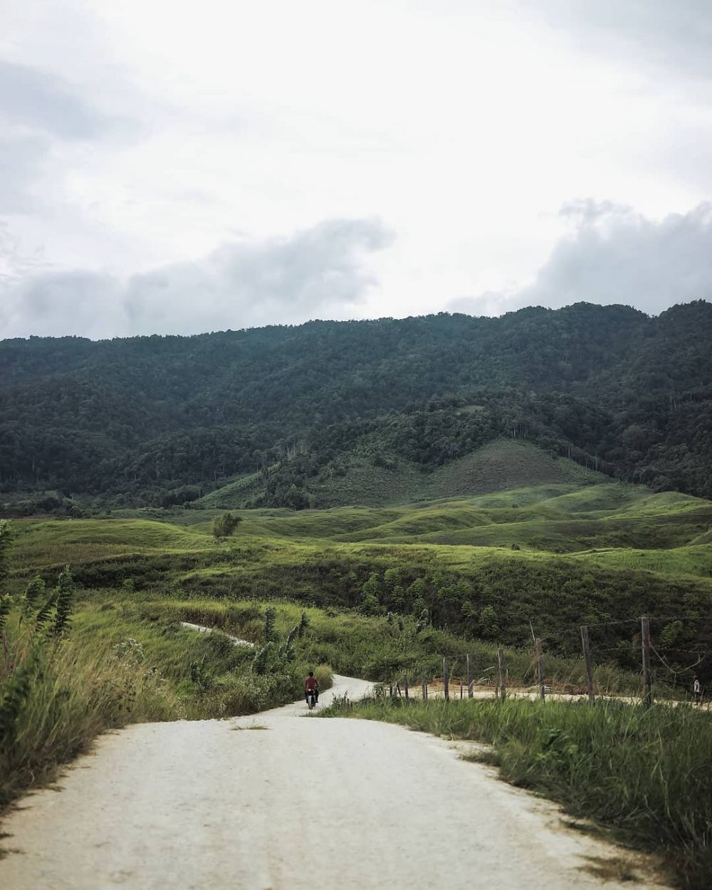 10 Potret Bukit Teletubbies, Bukit Hijau Eksotis di Luwuk