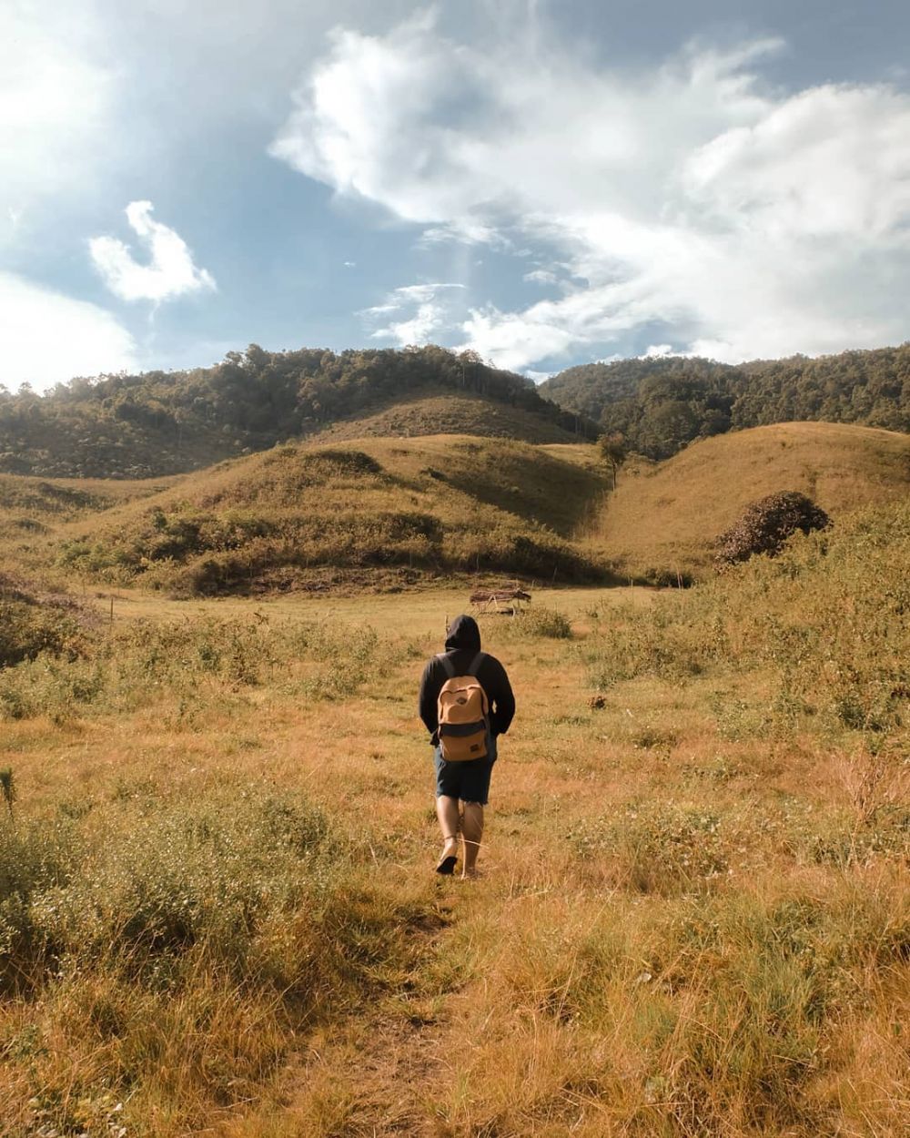 10 Potret Bukit Teletubbies, Bukit Hijau Eksotis di Luwuk