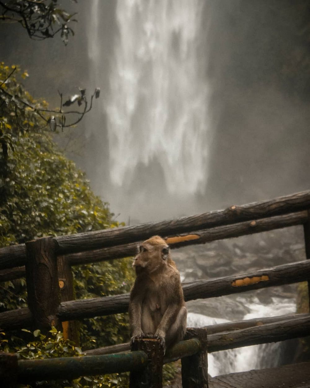 9 Potret Air Terjun Grojogan Sewu, Pesona Di Lereng Lawu