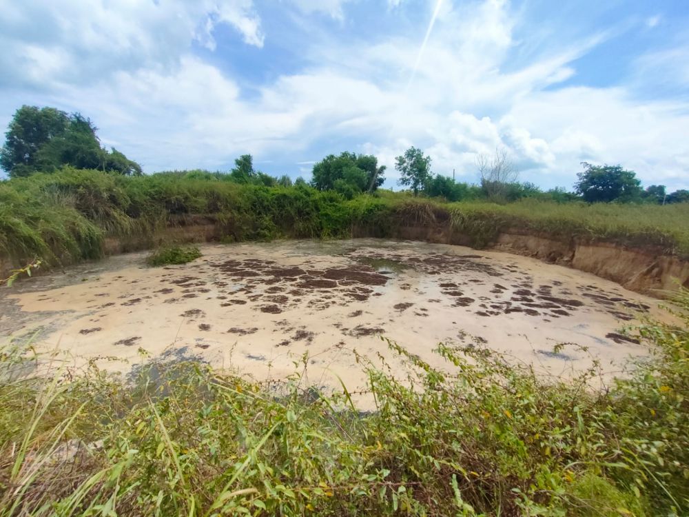 Tanah Tiba-tiba Ambles 1,5 Meter Gegerkan Warga Tuban