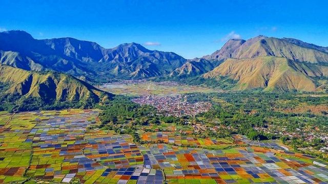 5 Wisata Ladang Sawah Terindah di Indonesia, Bikin Hati Adem!