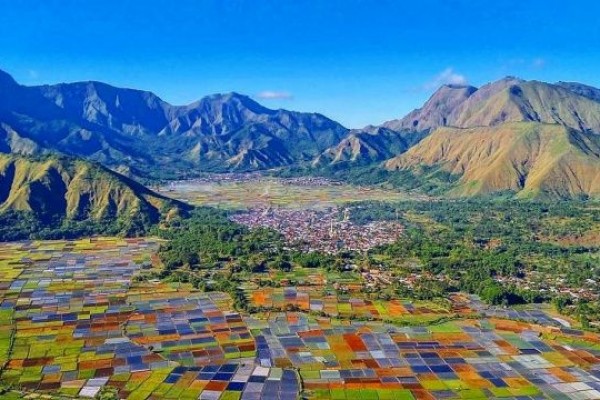 5 Wisata Ladang Sawah Terindah di Indonesia, Bikin Hati Adem!