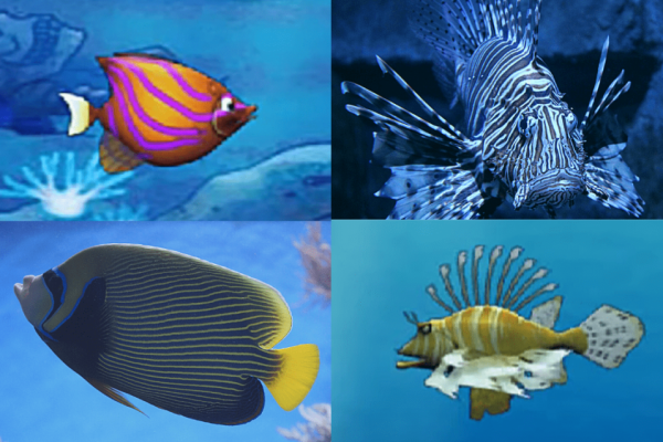 Begini Wujud 10 Karakter Ikan Game Feeding Frenzy di Dunia Nyata