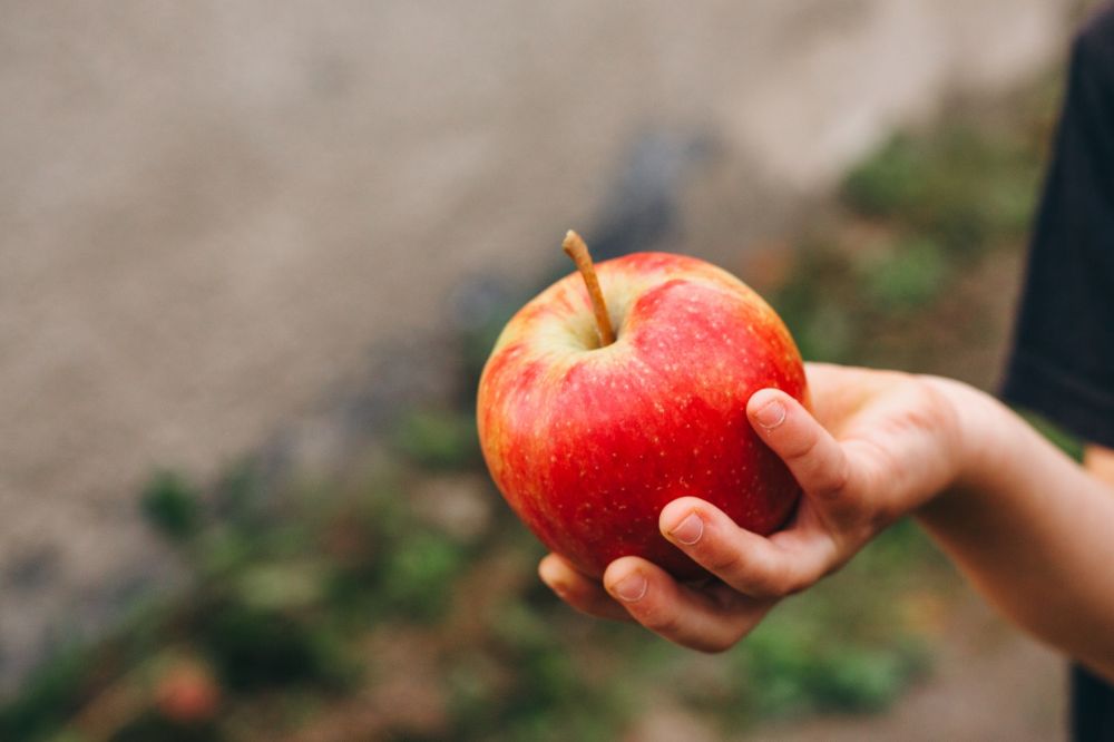 Яблоки перед. Apfel. Наливное яблочко в руке. Протянутая рука с яблоком. Золотое яблоко в руке.