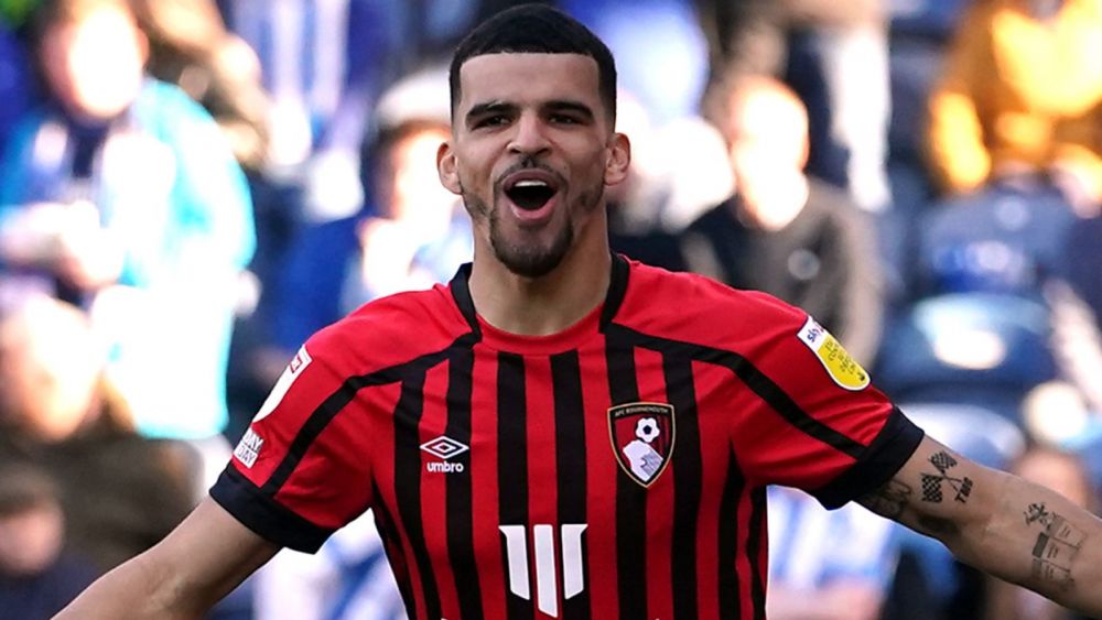 Dominic Solanke Bangkit Bersama Bournemouth