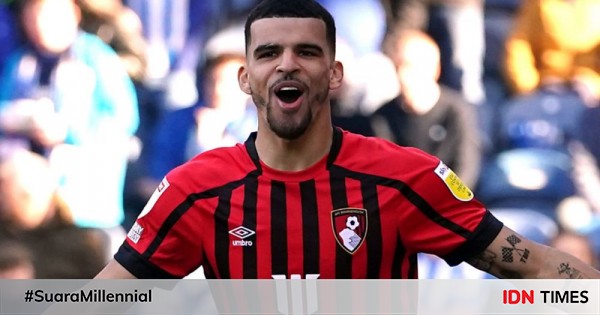 Dominic Solanke Bangkit Bersama Bournemouth