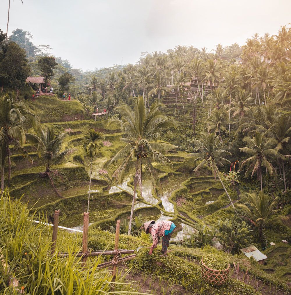 10 Potret Kota Terbaik Dunia untuk Solo Traveling, Ada Ubud!