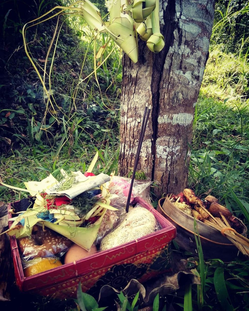 Makna Tumpek Wariga, Tradisi Hindu Bali untuk Menjaga Alam