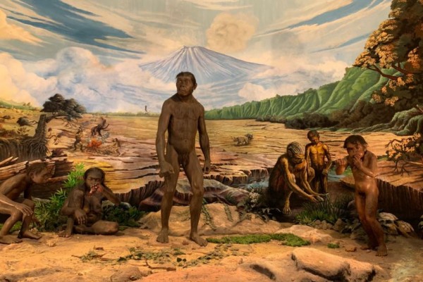 9 Potret Museum Sangiran, Bisa Berwisata Sekaligus Belajar Sejarah