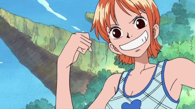 Anggota Bajak Laut Topi Jerami Di Anime One Piece