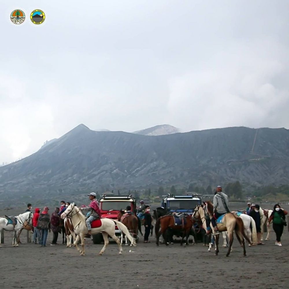 Viral Turis Ambil Video Kuda di Bromo Diminta Bayar, Ini Kata TNBTS