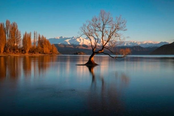 5 Danau Terindah di Selandia Baru, Lanskapnya bak Lukisan! 