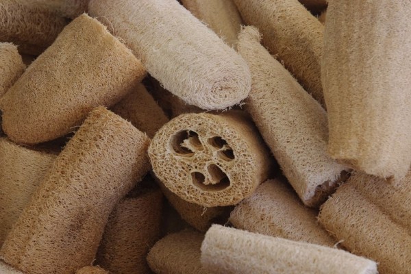 5 Alasan Mengganti Spons Dapur dengan Loofah