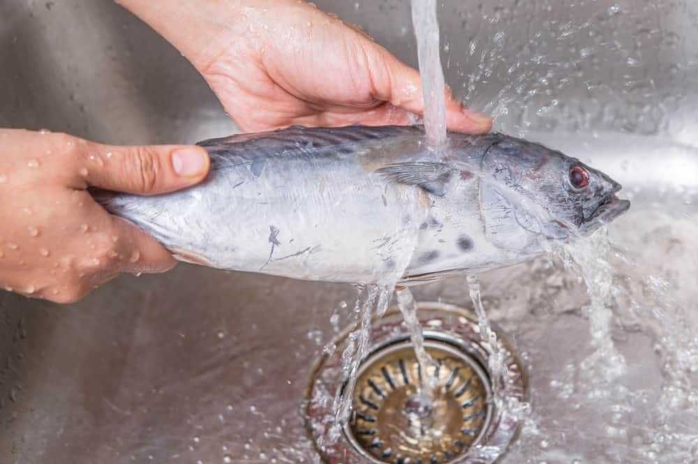 Resep Ikan Tuna Bumbu Pedas, Rasa Pedasnya Bikin Ketagihan