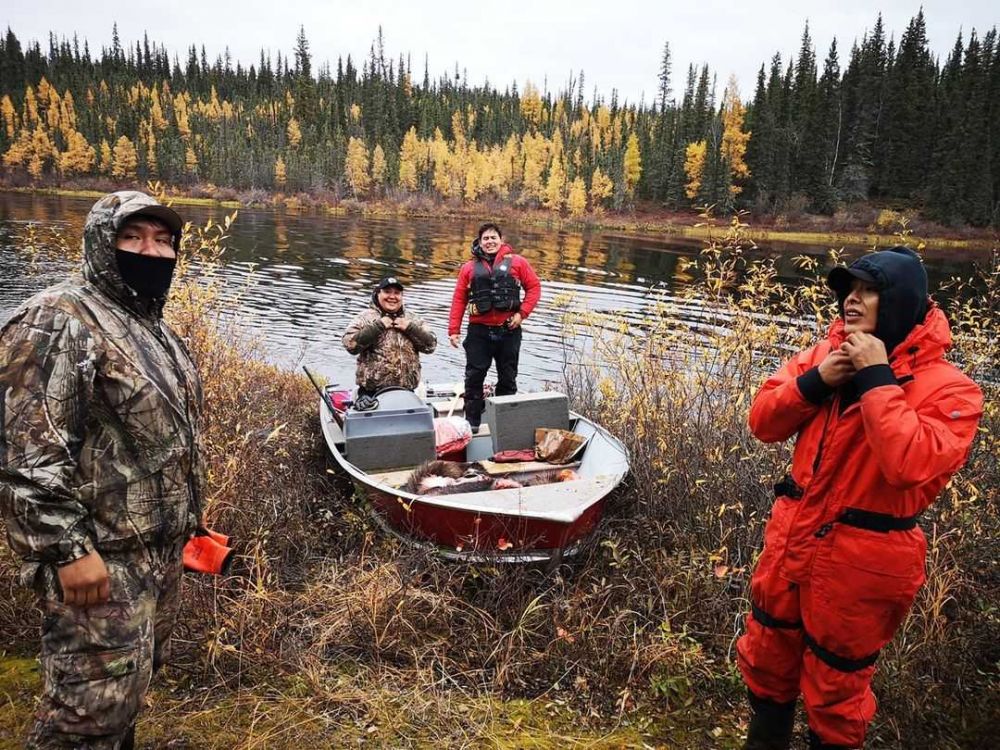 5 Fakta Hutan Boreal Kanada, Ekosistem Hutan Utuh Terbesar di Dunia!