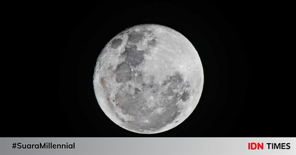 Interesting Facts About the Moon: Shape, Craters, Gravity, and More