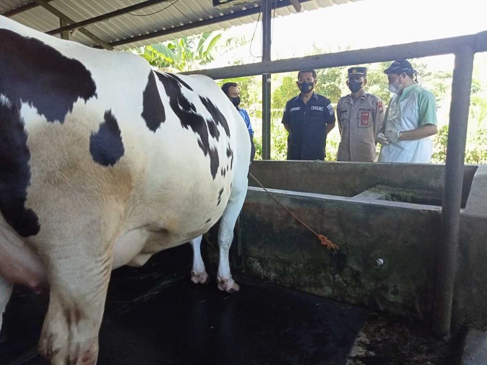 Kasus PMK di Ponorogo Tembus 4 Ribu Ekor Hewan Ternak