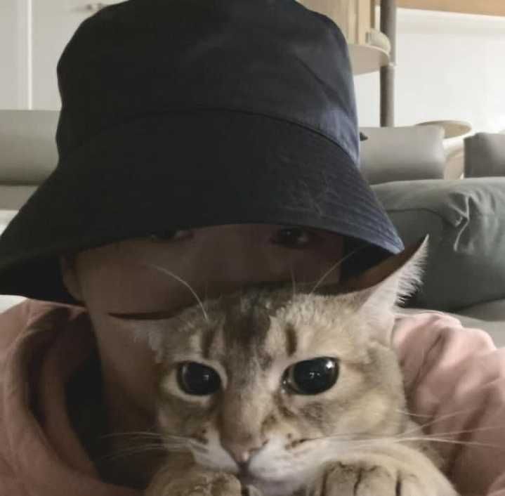 7 Idol KPop Ternyata Pencinta Kucing, Bikin Tambah Ngefans!
