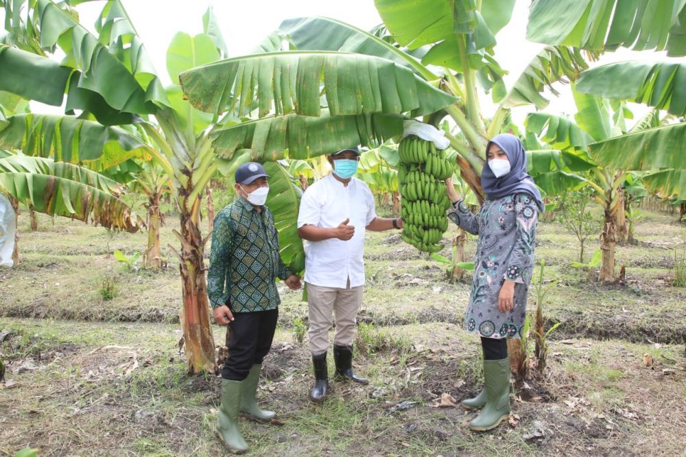 7 Julukan Kabupaten Banyuwangi yang Perlu Kamu Tahu