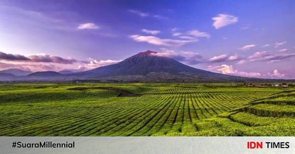 5 Wisata Kebun Teh Terbaik Di Indonesia, Bikin Hati Adem