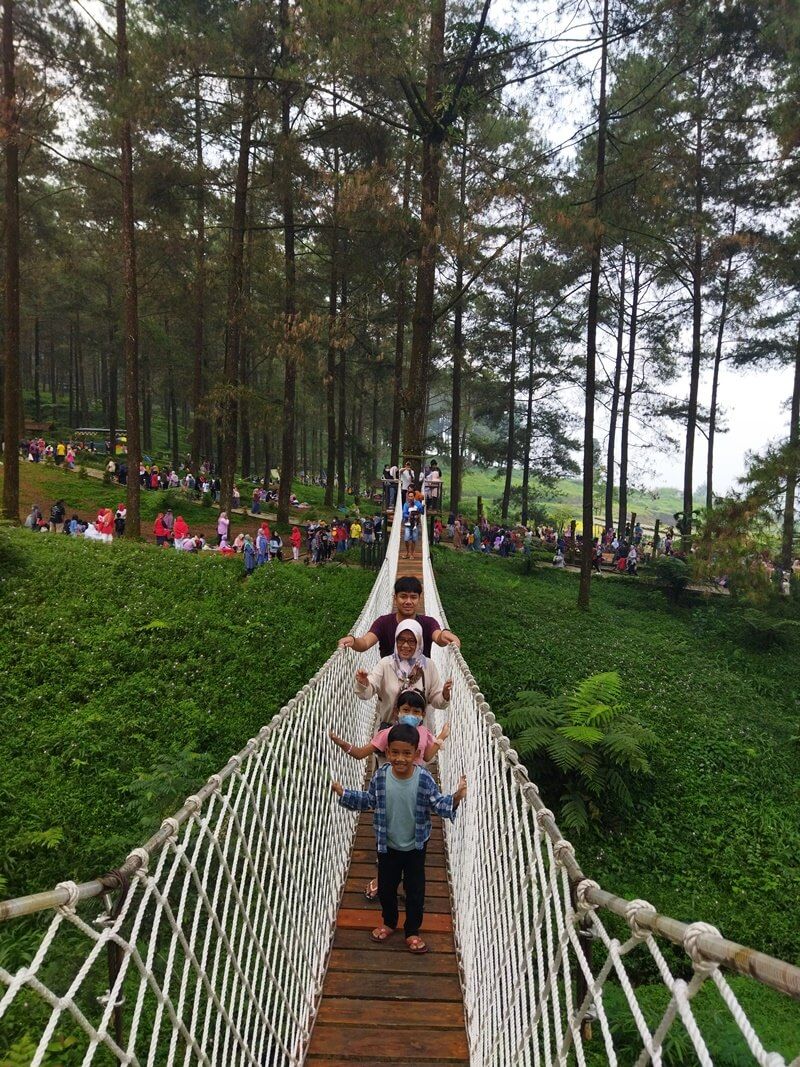 Wisata Hutan Pinus Limpakuwus Banyumas