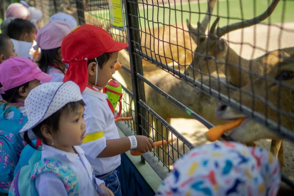 5 Kebun Binatang di Jawa Timur, Ada yang Terluas di Asia! 