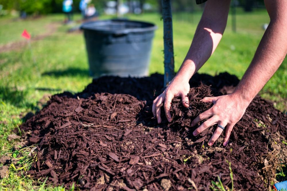 5 Cara Membuat Kompos dari Sampah Dapur, Praktis Bebas Kimia