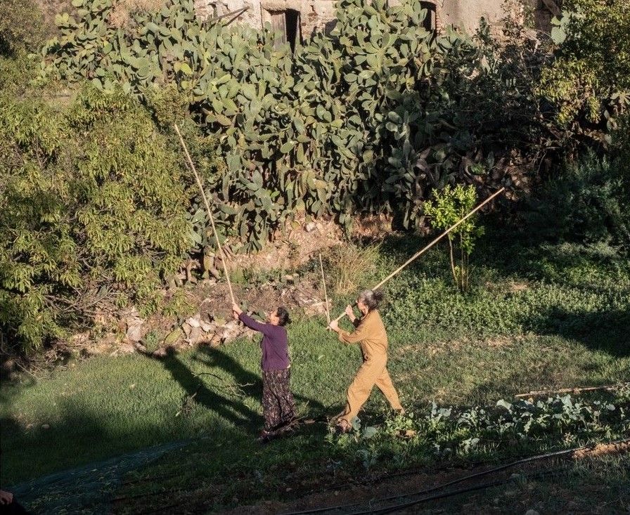 Rural Renaissance: Tren Tinggal di Desa untuk Nikmati Hidup