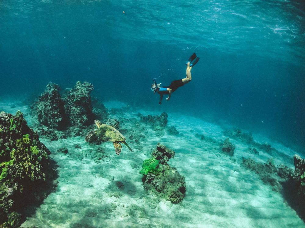 5 Kegiatan ini Wajib Dicoba di Gili Trawangan yang Indah!