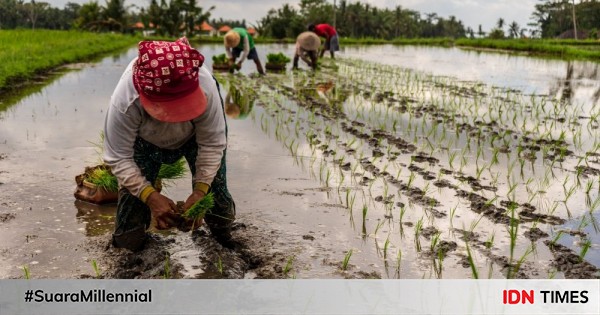 Petani Muda, Ketahanan Pangan, Dan Perubahan Iklim