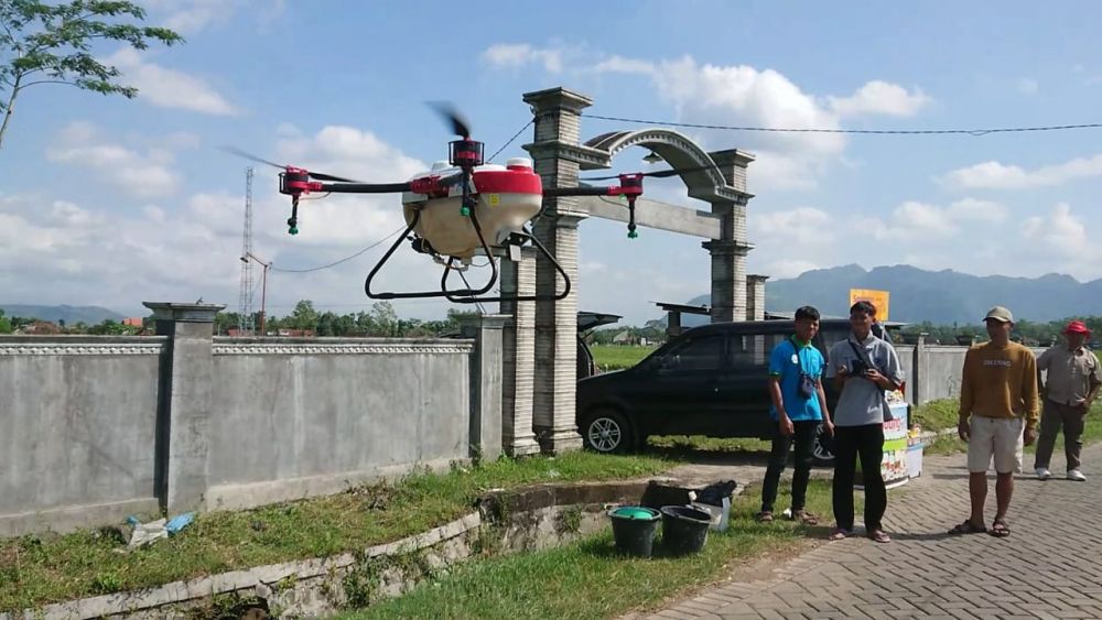 Murah! Petani Sewa Jasa Drone untuk Penyemprotan Obat dan Pupuk 