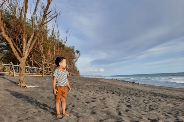 Pantai Baru Bantul: Lokasi, Rute, Harga Tiket, dan Tips