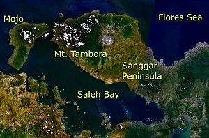 Fakta Menarik tentang Gunung Tambora yang Pernah Guncangkan Dunia 