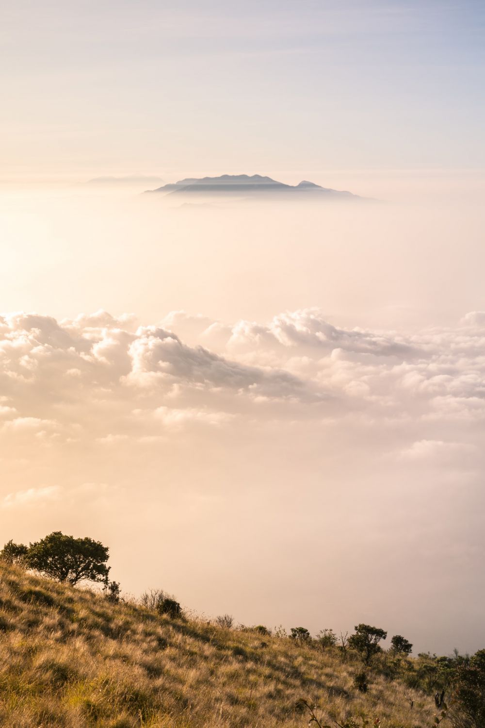 10 Fakta Menarik tentang Gunung Lawu, Mistis Tetapi Pemandangan Indah