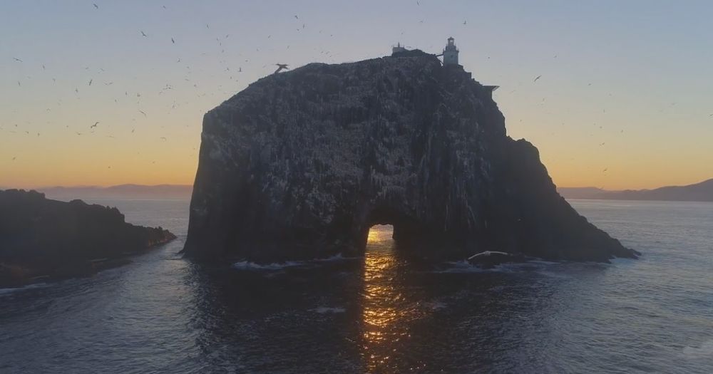 5 Fakta Pulau Bull Rock, Wisata Hidden Gems Terlarang di Irlandia