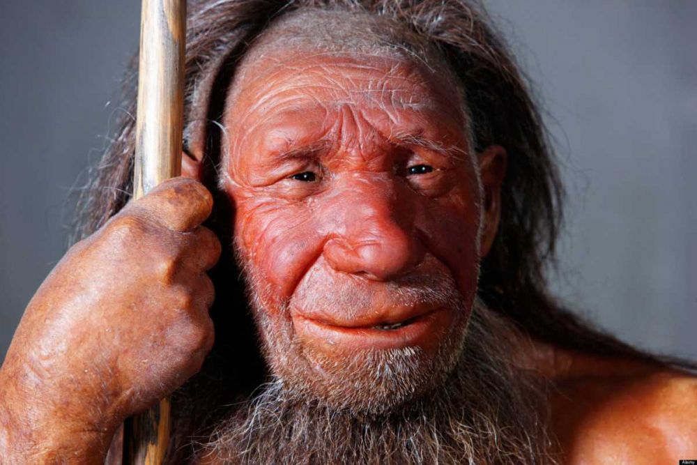 8 Fakta Singkat Manusia Purba Neanderthal, Cerdas dan Artsy