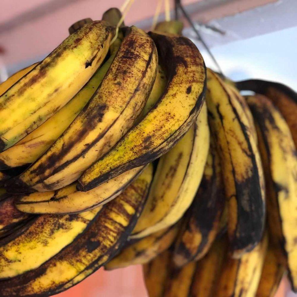 Resep Molen Pisang Istimewa, Kulitnya Bisa Dibuat dari Keju