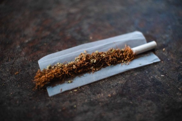 5 Fakta Menarik Seputar Tembakau yang Jadi Bahan Utama Pembuatan Rokok