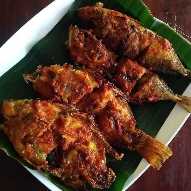 Resep Ikan Bakar Bumbu Padang Yang Enak Dan Bikin Ngiler