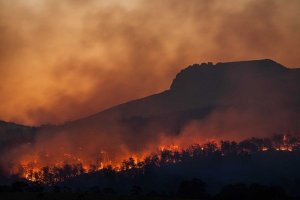 BMKG: Ada 199 Titik Panas di Kaltim, Waspada Kebakaran Hutan dan Lahan