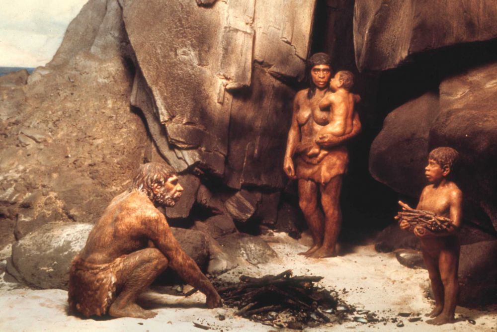 8 Fakta Singkat Manusia Purba Neanderthal, Cerdas dan Artsy