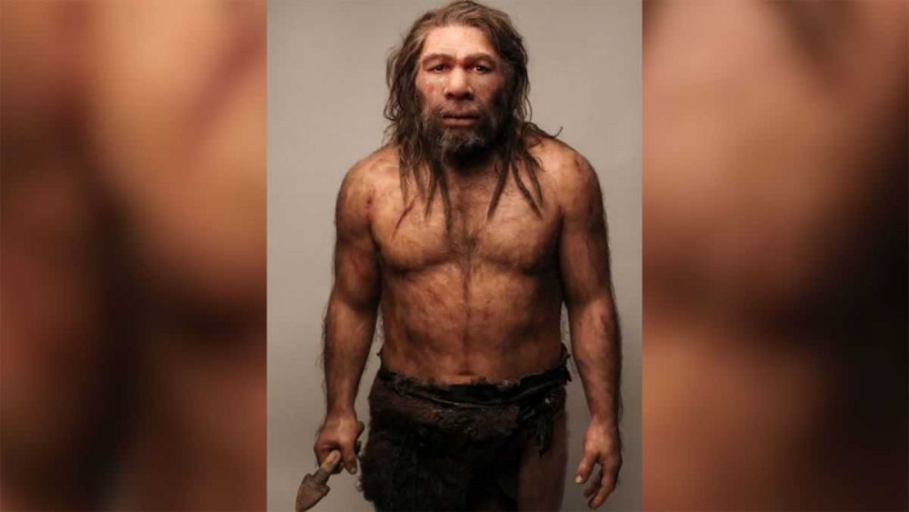 8 Fakta Singkat Manusia Purba Neanderthal, Cerdas dan Artsy