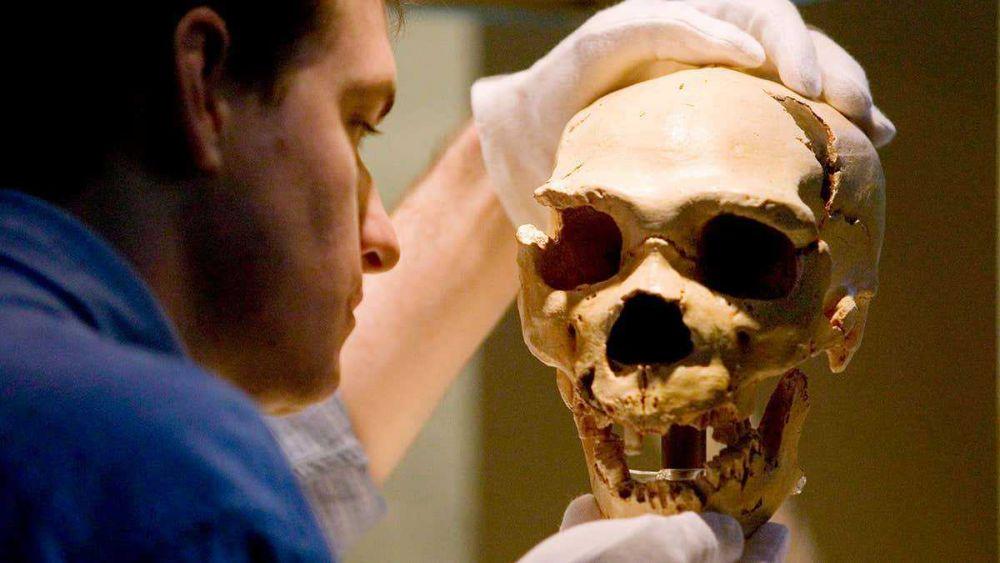 8 Fakta Singkat Manusia Purba Neanderthal, Cerdas dan Artsy