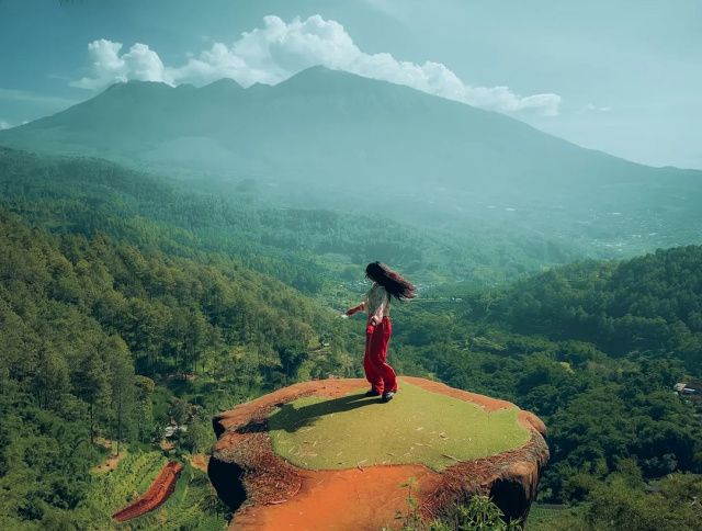 5 Wisata Hutan di Jawa Timur, Ada yang Terkenal Angker!