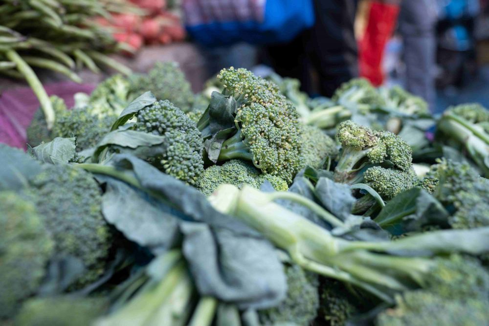 5 Cara Menanam Brokoli dari Benih, Cukupi Kebutuhan Nutrisimu