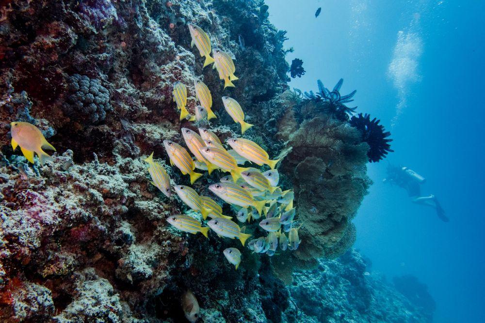 10 Potret Keindahan Kepulauan Gili, Surga Dunia di Nusa Tenggara Barat