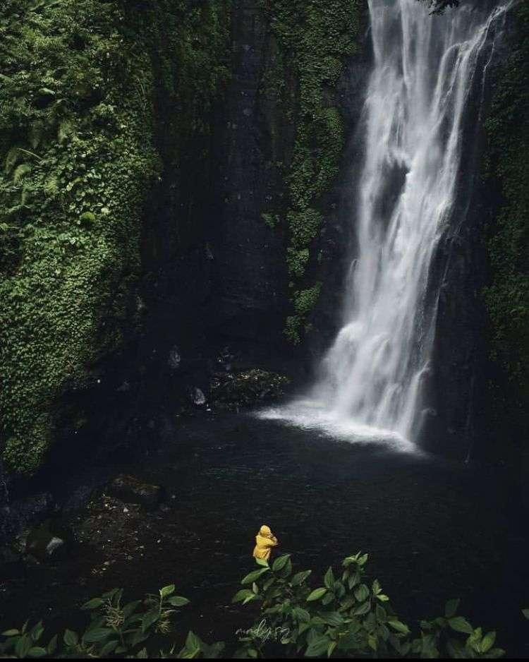 Wisata Air Terjun Putuk Truno