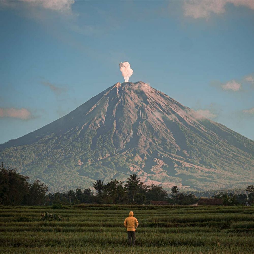 5 Aktivitas Seru yang Bisa Kamu Coba di Gunung Wayang Lumajang