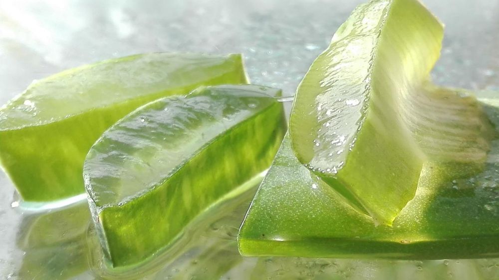 5 Bahan Alami yang Efektif untuk Menghilangkan Kapalan di Telapak Kaki
