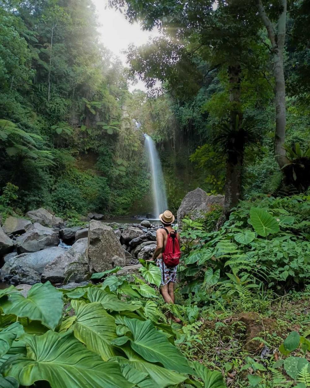 Air Terjun Tibu Topat: Keindahan Alam Tersembunyi di Hutan Jambi